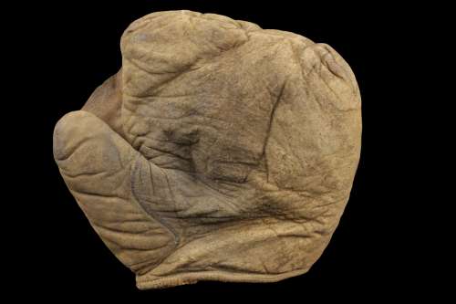 c. 1910's Victor Fielders Mitt Front